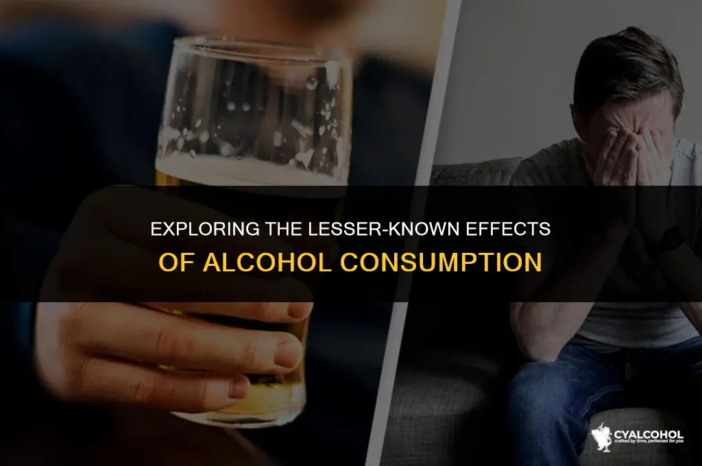 what is other percent of alcohol