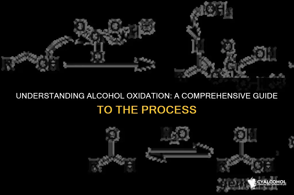what is oxidation of alcohol definition
