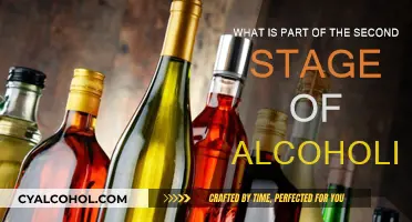 Alcoholism's Second Stage: Understanding the Physical Dependence