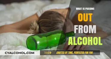 Understanding the Risks and Effects of Alcohol-Induced Blackout
