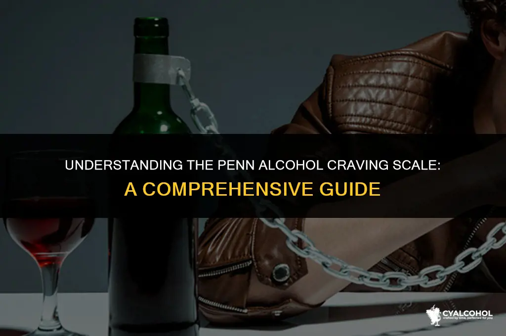what is penn alcohol craving scale