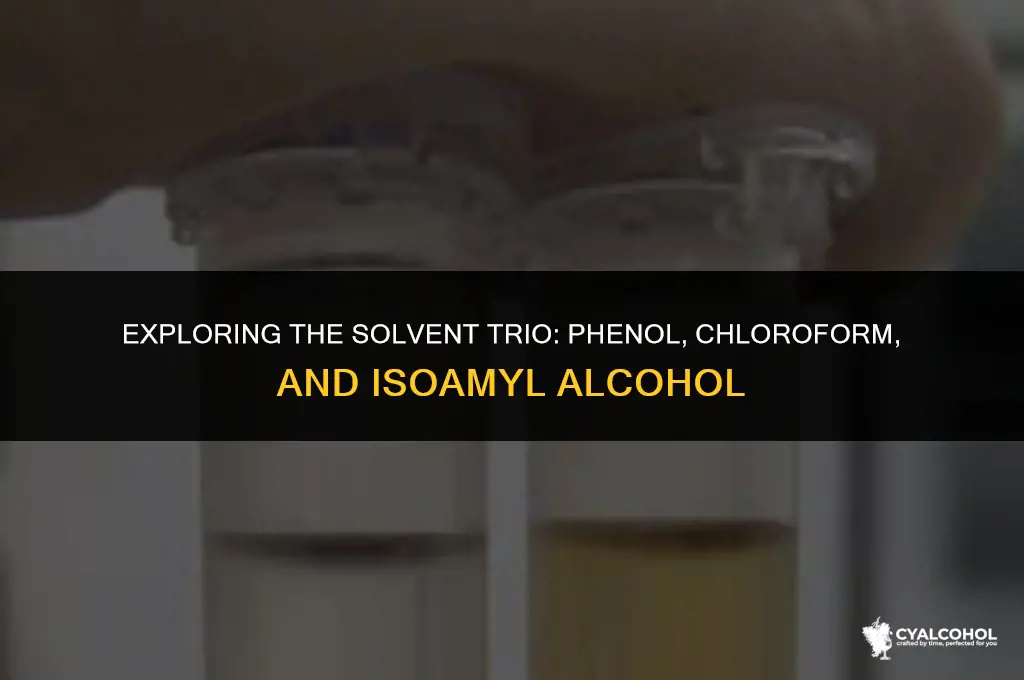 what is phenol chloroform isoamyl alcohol