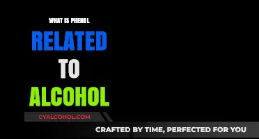 Exploring the Chemical Relationship Between Phenol and Alcohol