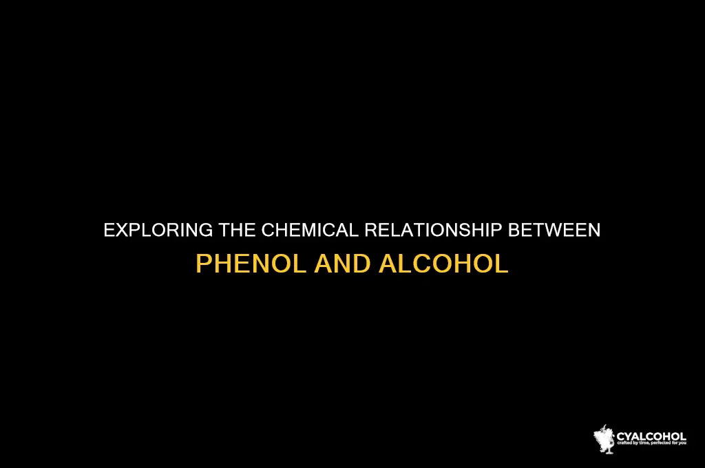 what is phenol related to alcohol