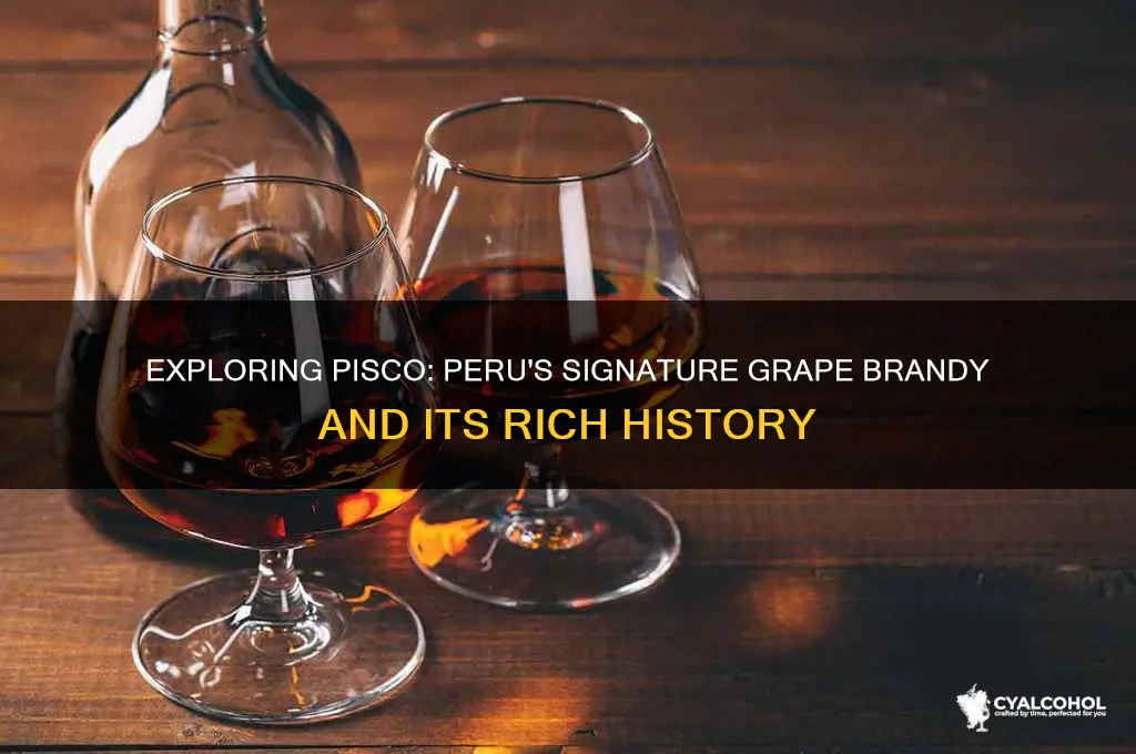 what is pisco alcohol