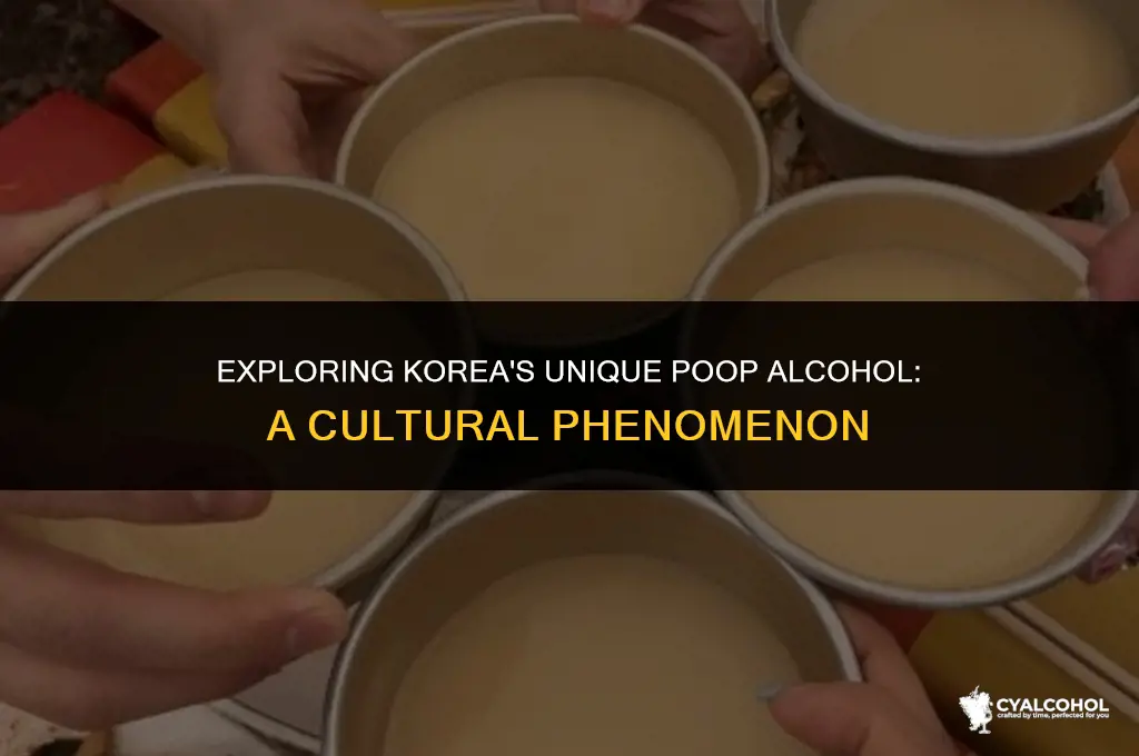 what is poop alcohol in korea