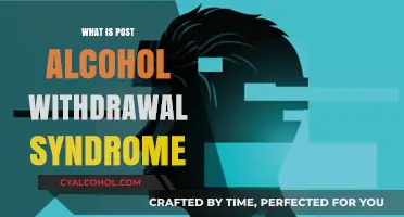 Understanding Post-Alcohol Withdrawal Syndrome: A Comprehensive Guide