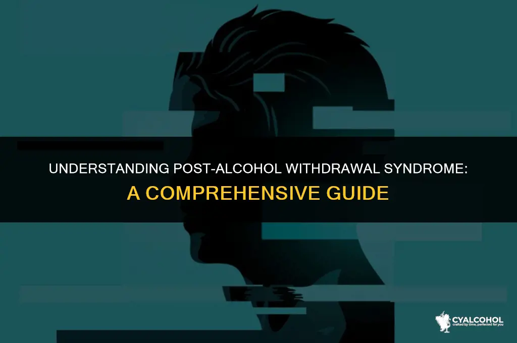 what is post alcohol withdrawal syndrome