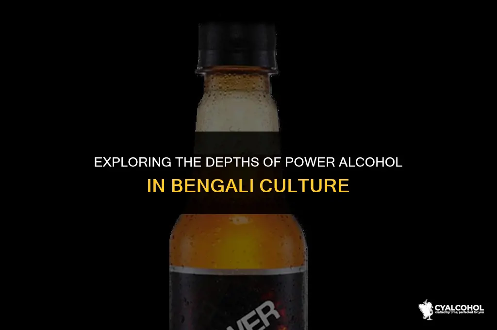 what is power alcohol in bengali