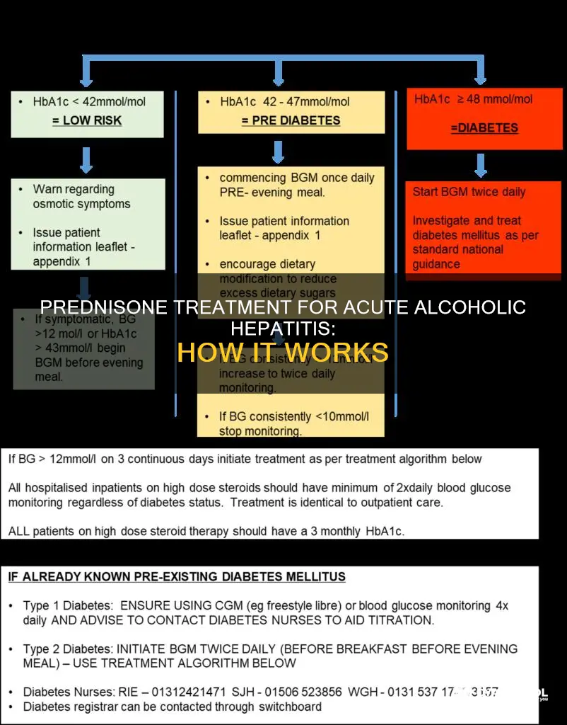 what is prednisone suppose to do for acute alcoholic hepatitis