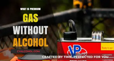 Exploring the Benefits of Alcohol-Free Premium Gasoline