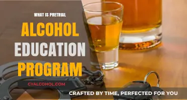 Understanding Pretrial Alcohol Education Programs: A Comprehensive Guide