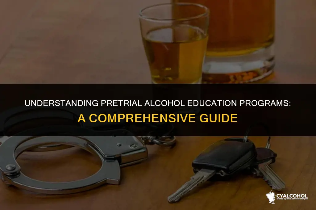 what is pretrial alcohol education program