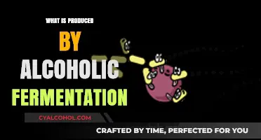 Unveiling the Alchemy of Alcoholic Fermentation: From Sugars to Spirits