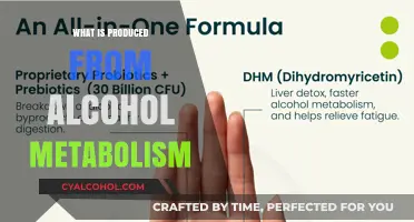 Unveiling the Byproducts: A Deep Dive into Alcohol Metabolism