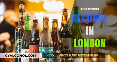 Exploring London's Proper Alcohol Scene: A Guide to Responsible Drinking