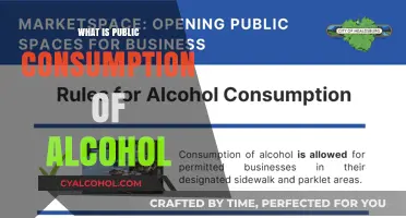 Exploring the Social Implications of Public Alcohol Consumption