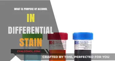 Understanding Alcohol's Role in Differential Staining Techniques for Microorganisms