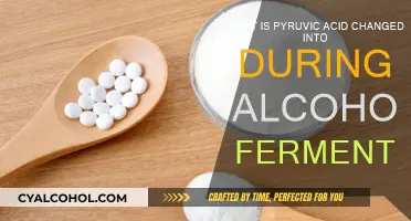 Pyruvic Acid's Transformation: Alcoholic Fermentation Explained