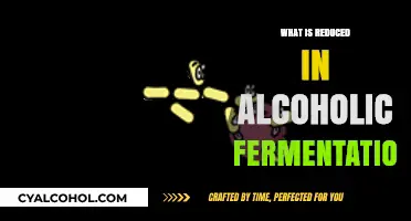Unveiling the Secrets of Alcoholic Fermentation: A Comprehensive Guide