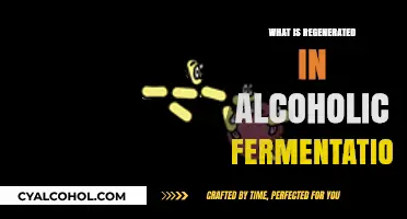 Unveiling the Secrets of Alcoholic Fermentation: What's Reborn?