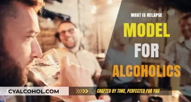 Understanding the Relapse Model for Alcoholics: A Comprehensive Guide