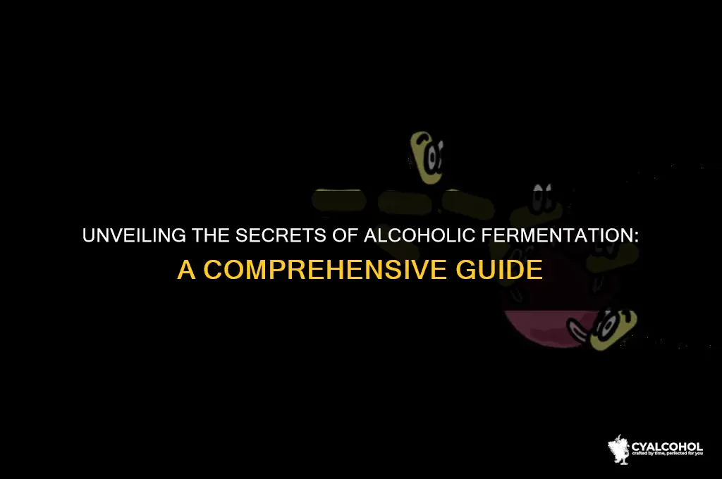 what is released during alcoholic fermentation