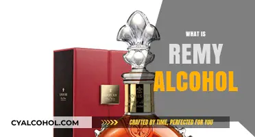 Understanding Remy Alcohol: Origins, Uses, and Distillation Process Explained
