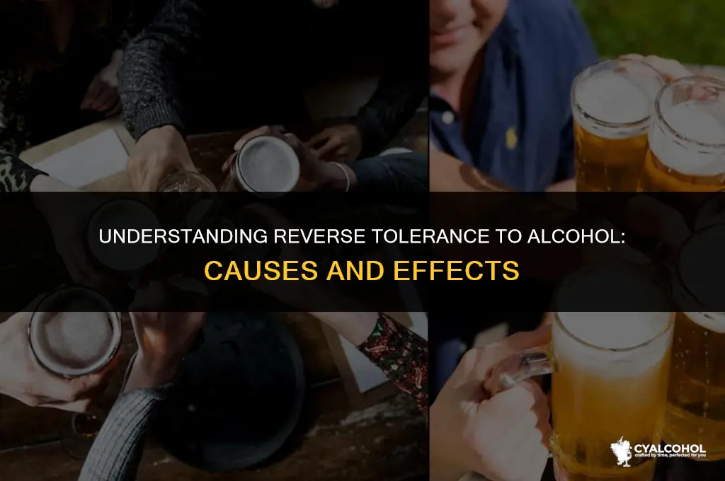 what is reverse tolerance to alcohol