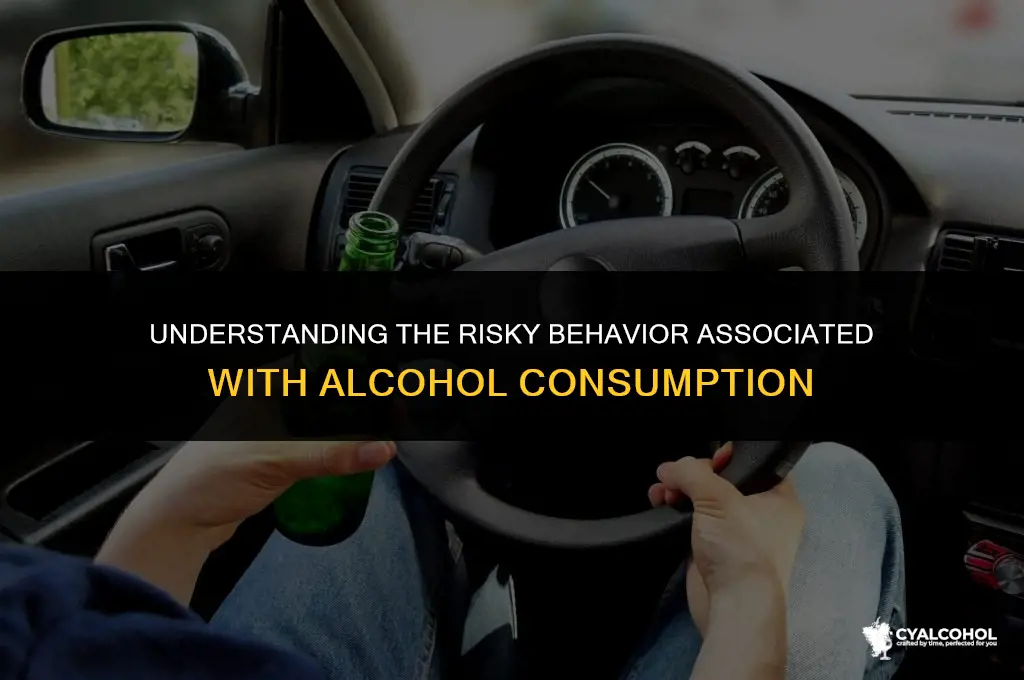 what is risk behaviour of alcohol