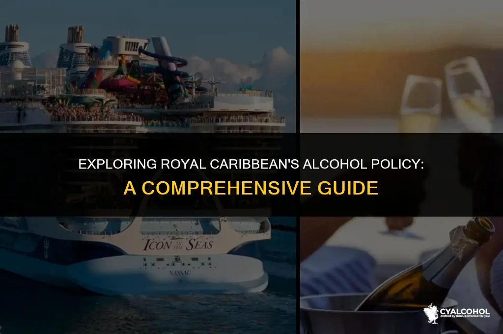what is royal caribbean alcohol policy