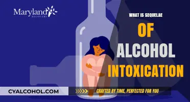Unraveling the Aftermath: Understanding the Consequences of Alcohol Intoxication