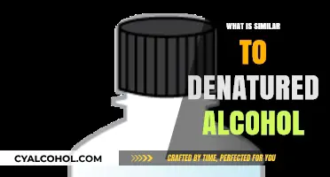 Exploring Alternatives: What's Similar to Denatured Alcohol?