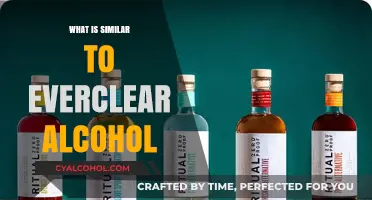 Exploring High-Proof Alternatives: What's Similar to Everclear Alcohol?
