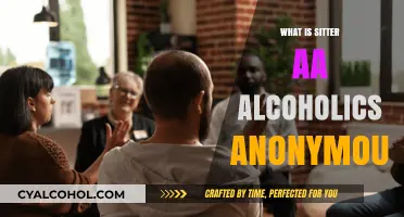 Understanding Sitter AA: A Guide to Alcoholics Anonymous Meetings