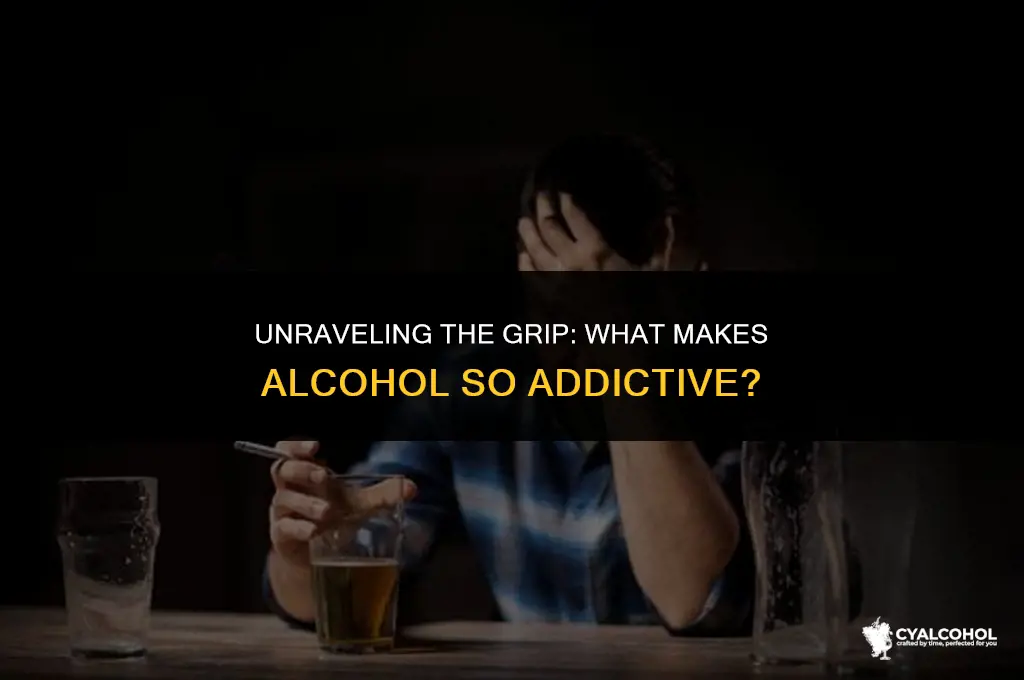 what is so addictive about alcohol
