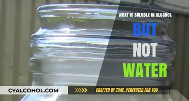 Substances Soluble in Alcohol but Insoluble in Water: A Detailed Exploration