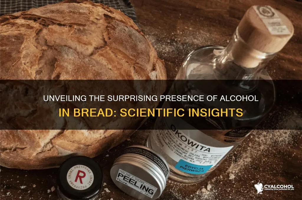 what is some evidence for alcohol in bread