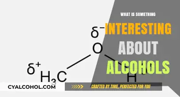 Unveiling the Intriguing World of Alcohols: Beyond the Buzz