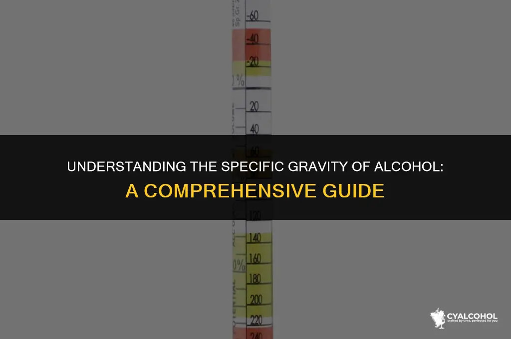 what is sp gr of alcohol