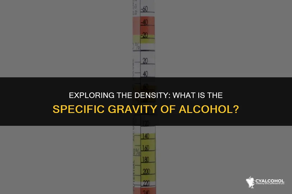 Exploring The Density: What Is The Specific Gravity Of Alcohol? | CyAlcohol
