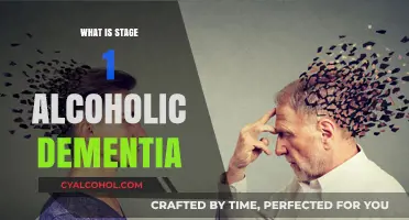 Understanding Early Onset: Stage 1 Alcoholic Dementia Explained