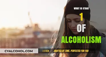Understanding the Early Signs: What Is Stage 1 of Alcoholism?