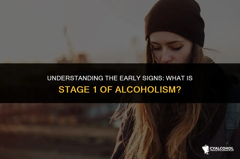 what is stage 1 of alcoholism