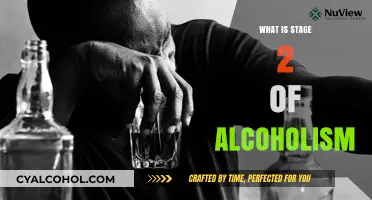Understanding the Progression: What Is Stage 2 of Alcoholism?