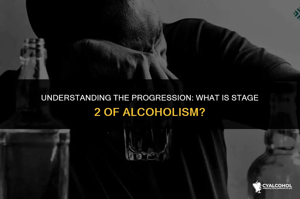 what is stage 2 of alcoholism