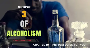 Understanding the Critical Third Stage of Alcoholism: Signs and Interventions