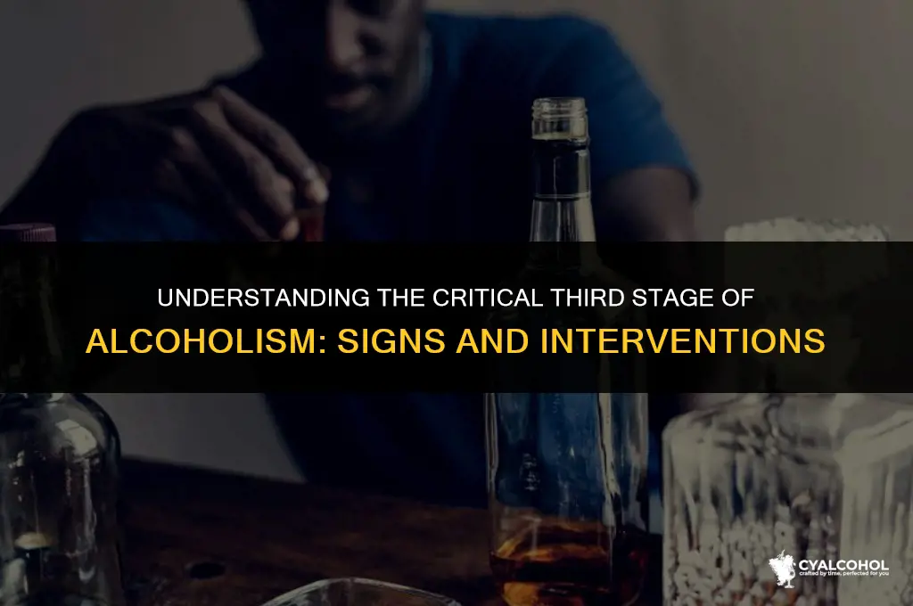 what is stage 3 of alcoholism