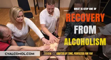 The First Step to Sobriety: Acknowledging Alcoholism and Seeking Help