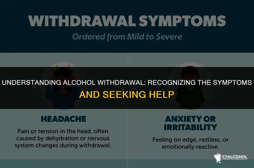 what is symptoms of alcohol withdrawal